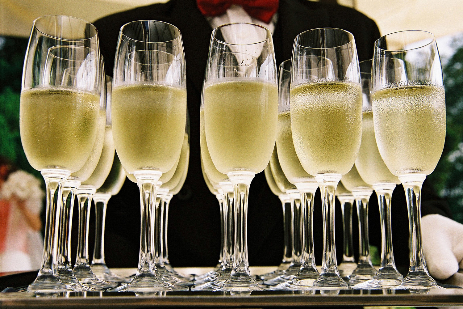 <span style="font-weight: bold;">Wedding reception </span><br>